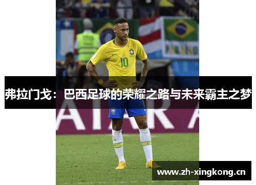 弗拉门戈：巴西足球的荣耀之路与未来霸主之梦